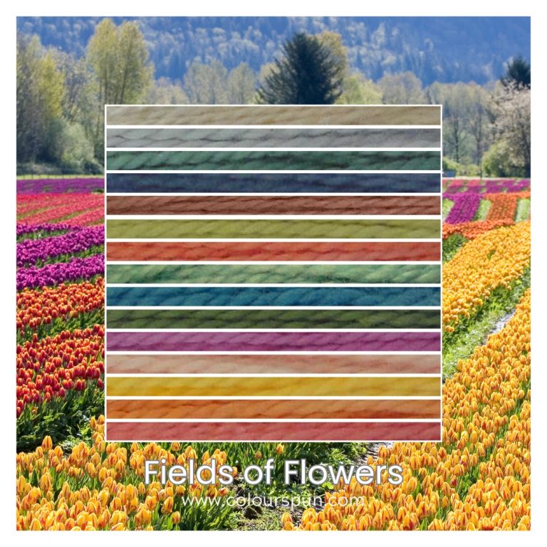 Fields of Flowers is a 15 colour Colour Way inspired by the colours of rows of tulips growing in a field.
