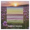 Mountain Meadow is a 9 colour Colour Way inspired by wild flowers at sunrise.