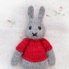 Little Pip- Sized Bunny close up