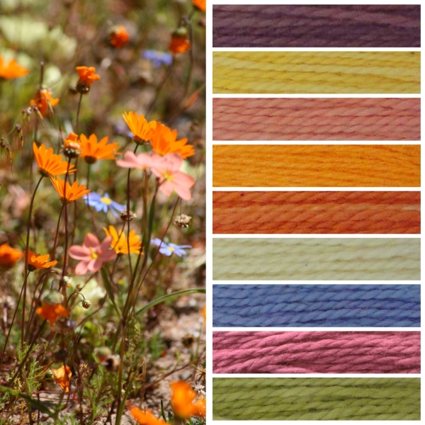 Namaqua Blanket Kit CW5