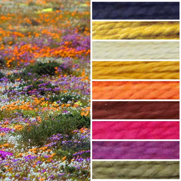 Namaqua Blanket Kit CW2