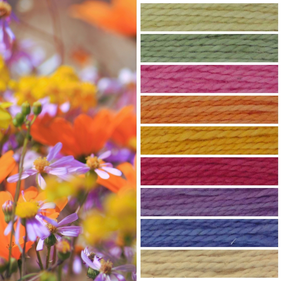 Namaqua Blanket Kit CW1