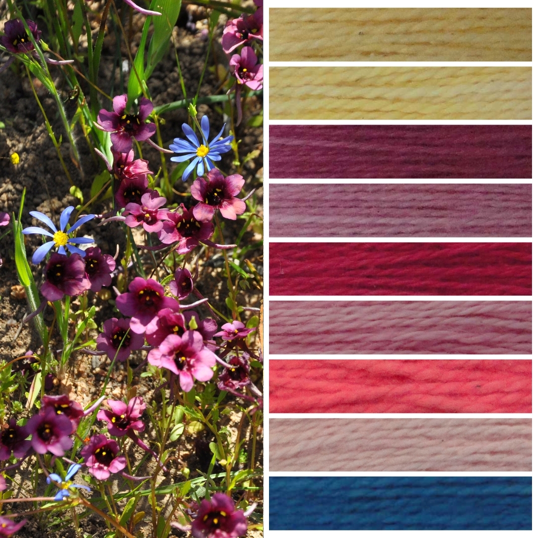 Namaqua Blanket Kit CW4