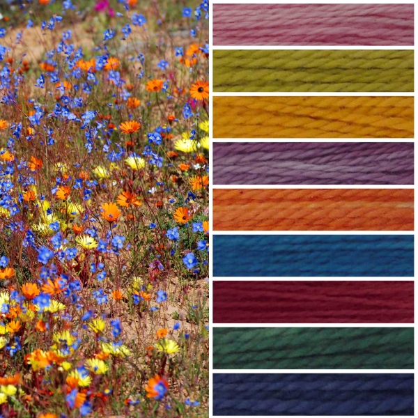 Namaqua Blanket Kit CW3